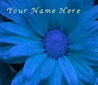 Ebay Store Logo Blue Flower Dress Up your Ebay Store Add your Store Name!!