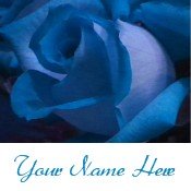 Ebay Store Logo Blue Roses Dress Up your Ebay Store Add your Store Name!!