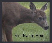 Ebay Store Logo Deer Doe Brown Green Dress Up your Ebay Store Add your Store Name!!