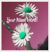 Ebay Store Logo White Green Maroon Daisies Flowers Dress Up your Ebay Store Add your Store Name!!