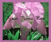 Ebay Store Logo Pink Flower Dress Up your Ebay Store Add your Store Name!!