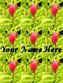 Ebay Store Logo Pink Green Flower BRIGHT Dress Up your Ebay Store Add your Store Name!!