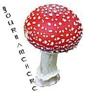 Ecrater Store Logo and HomePage Image Red Mushroom Dress Up your Ecrater Store Add your Store Name!!