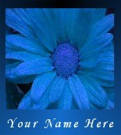Ecrater Store Logo & HomePage Image Blue Flower Dress Up your Ecrater Store Add your Name!