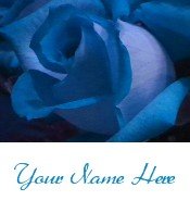 Ecrater Store Logo & HomePage Image Blue Rose Dress Up your Ecrater Store Add your Name!