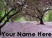 Ecrater Store Logo & HomePage Image Cherry Blossom Tree Pink Dress Up your Ecrater Store Your Name!