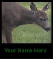 Ecrater Store Logo & HomePage Image Deer Doe Green Dress Up your Ecrater Store Add your Name!