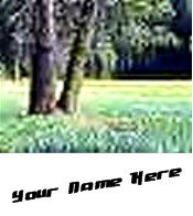 Ecrater Store Logo & HomePage Image Green Trees Forest Dress Up your Ecrater Store Add your Name!