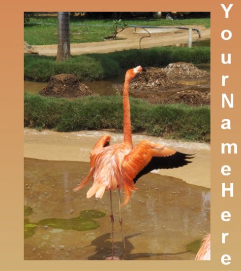 Ecrater Store Logo & HomePage Image Pink Flamingo Dress Up your Ecrater Store Add your Name!