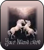 Ecrater Store Logo & HomePage Image White Horses Black Dress Up your Ecrater Store!!