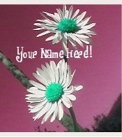 Ecrater Store Logo & HomePage Image Maroon Green White FLower Dress Up your Ecrater Store!