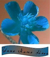 Ecrater Store Logo & HomePage Image Blue Pink Flower Dress Up your Ecrater Store!!