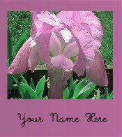 Ecrater Store Logo & HomePage Image Pink Flower Dress Up your Ecrater Store!!
