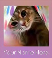 Ecrater Store Logo & HomePage Image Cat Kitten CUTE Pink Dress Up your Ecrater Store!!