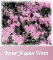 Ecrater Store Logo & HomePage Image Pink Azalea flowers Dress Up your Ecrater Store!!