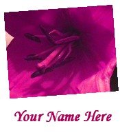 Ecrater Store Logo & HomePage Image Pink Magenta Lily Flower Dress Up your Ecrater Store!!