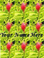 Ecrater Store Logo & HomePage Image Pink Green Hawaiian Flower Dress Up your Ecrater Store!!