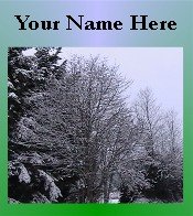 Ecrater Store Logo & HomePage Image Tree Snow Winter Green Dress Up your Ecrater Store!!