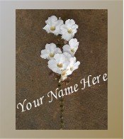 Ecrater Store Logo & HomePage Image White Hawaiian Flower Brown Dress Up your Ecrater Store!!