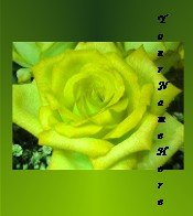 Ecrater Store Logo & HomePage Image Yellow Green Rose Flower Dress Up your Ecrater Store!!
