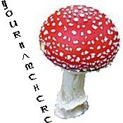 Neoloch.com Store Banner and Logo Combo Red White Mushroom Add your Store Name!