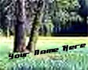 Neoloch.com Store Banner and Logo Combo Green Trees Forest Add your Store Name!