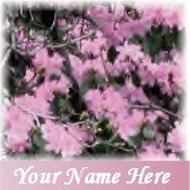 Neoloch.com Store Banner and Logo Combo Pink Azealeas Flowers Add your Store Name!
