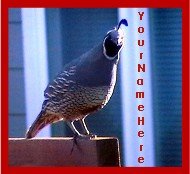 Neoloch.com Store Banner and Logo Combo Maroon Gray Quail Bird Add your Store Name!