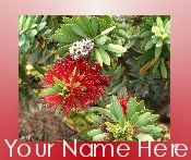 Neoloch.com Store Banner and Logo Combo Red White Green Hawaiian Flower Add your Store Name!