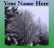 Neoloch.com Store Banner and Logo Combo Green Tree Snow Winter Add your Store Name!