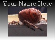 Neoloch.com Store Banner and Logo Combo Creepy Red Spider Add your Store Name!