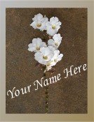 Neoloch.com Store Banner and Logo Combo Brown White Hawaiian Flower Add your Store Name!
