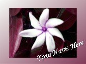Neoloch.com Store Banner and Logo Combo Maroon White Flower Add your Store Name!