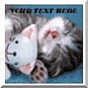 Neoloch.com Store Banner and Logo Combo Kitten Cat Snuggling Add your Store Name!