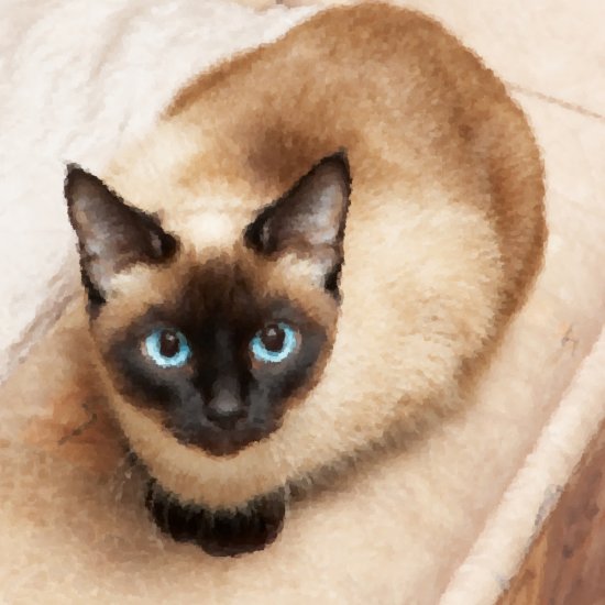 Blue Eyed Kitty - 8x8 Print
