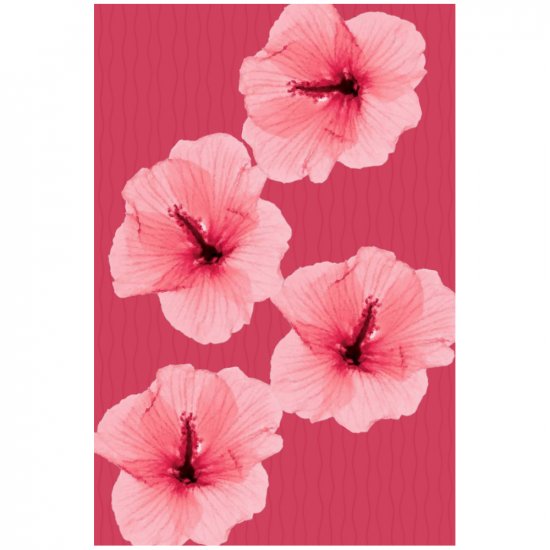 Hibiscus - 8x12 Print