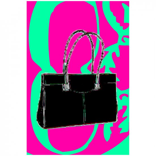Hot Bag - 8 x 12 Print