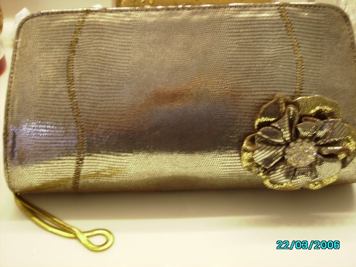 Goergeous Evening Clutch