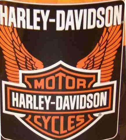 Harley Davidson Fleece Blanket-Wings
