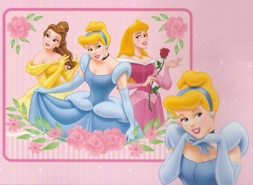 Disney Princess Fleece Blanket
