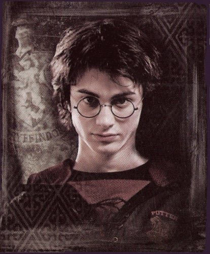 Harry Potter Fleece Blanket