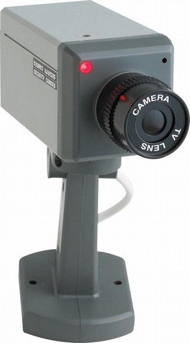 Fake Security Camera