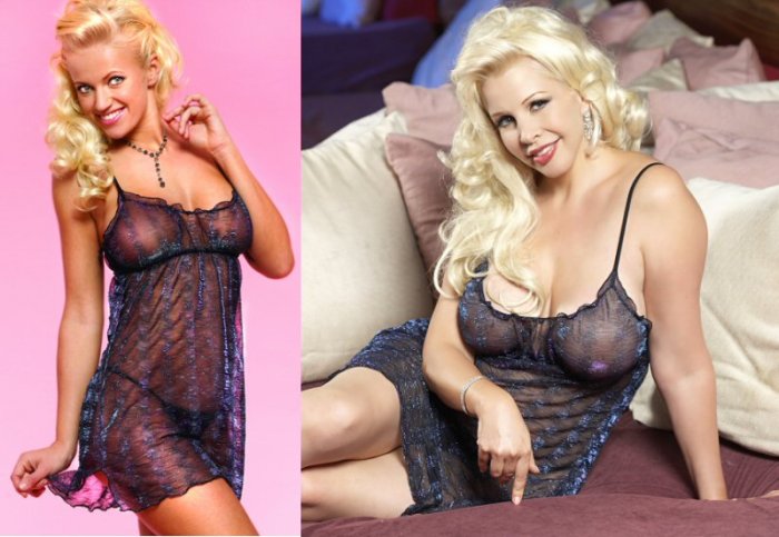 Iridescent Mesh Chemise with Ruffle Trim 3X-4X