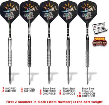 Bottelsen Precision Grip Convertible Tip Darts