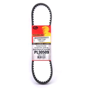 Gates Powerlink Honda Ruckus