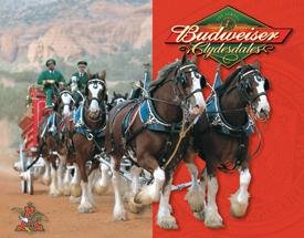 Budweiser Beer Clydesdales Horses Tin Sign #1281