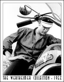 Elvis Presley With Motorcycle Tin Sign #948