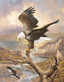 American Bald Eagle Tin Sign #1029