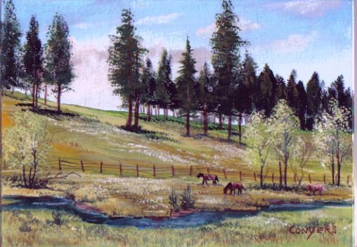 Horses in Pasture