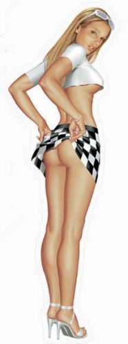 SEXY FINISH LINE GIRL STICKER - NEW Pinup NASCAR Decal
